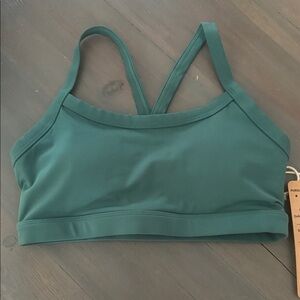 Acta base Bra evergreen